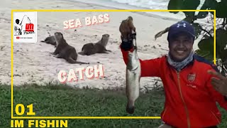 Sea Bass Fishing Singapore | Pancing Ikan Siakap