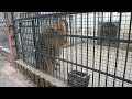 el peor zoo del Mundo, China
