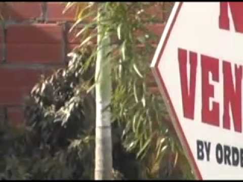 Roadside Vendors Still In Scarborough 