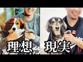 【祝ドジャース優勝】大谷選手の愛犬デコピンと、庶民の犬を比較してみた。