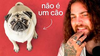 Como os Humanos Arruinaram os Cães...