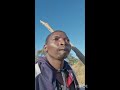 Uyu Anoda Rumamiso Uyu Anoda Rumamiso