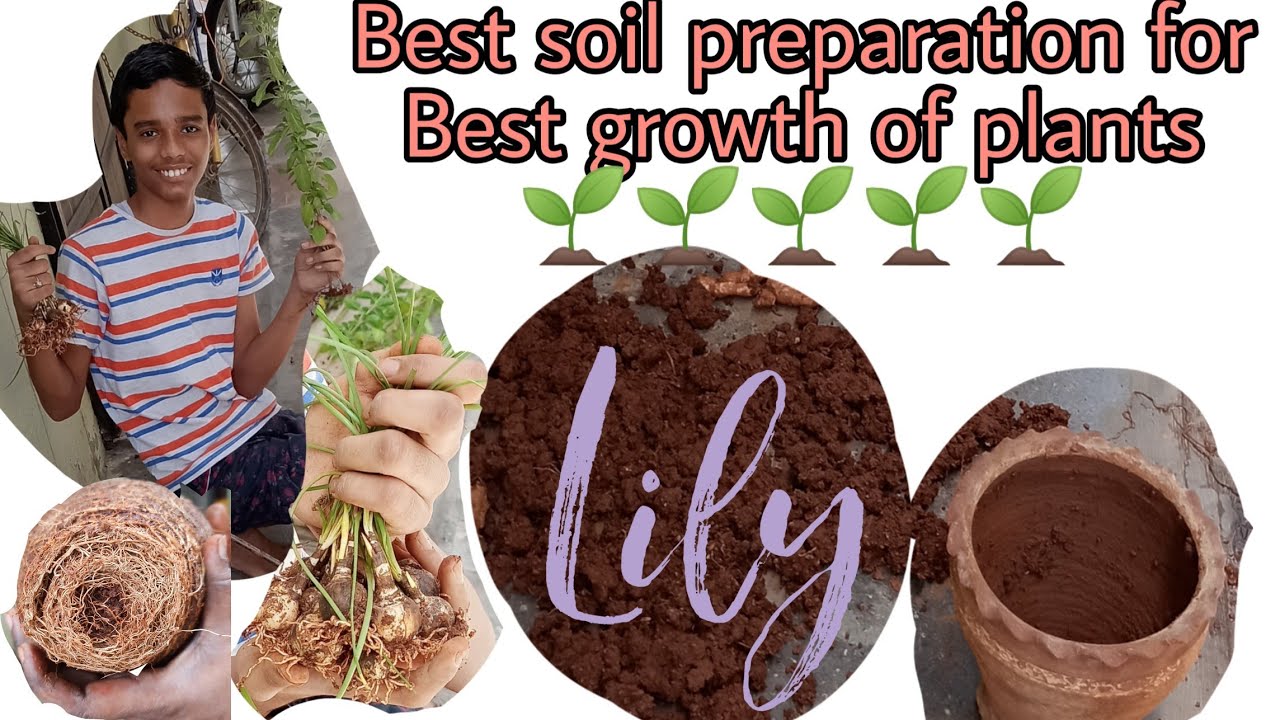 Best soil preparation for best growth of plants YouTube