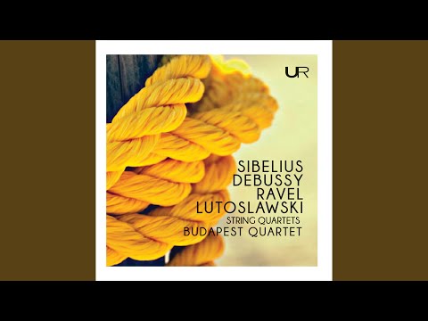 YouTubeでString Quartet in F Major, M. 35: I. Allegro moderatoを視聴