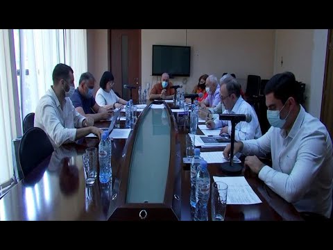 საზოგადოებრივი მაუწყებლის სამეურვეო საბჭოს სხდომა - 10 აგვისტო, 2020