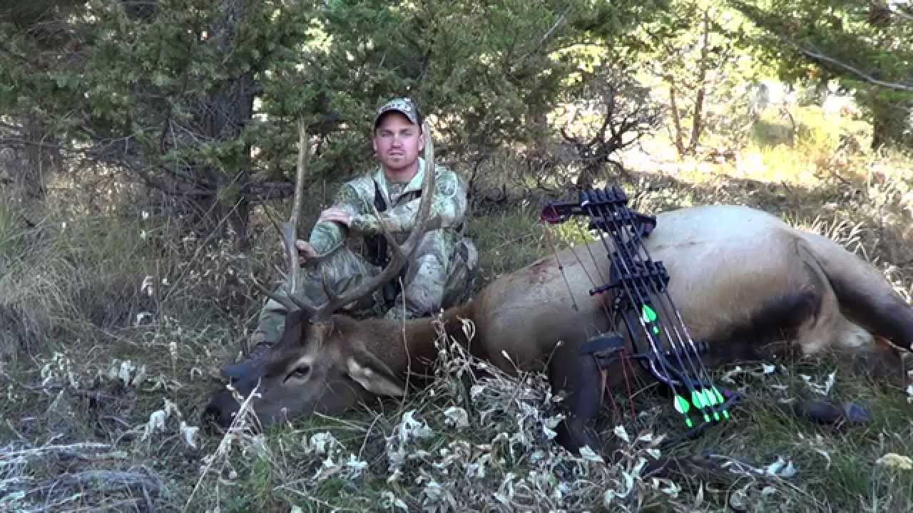 Montana Archery Elk Hunting 2013 701 Outdoors YouTube