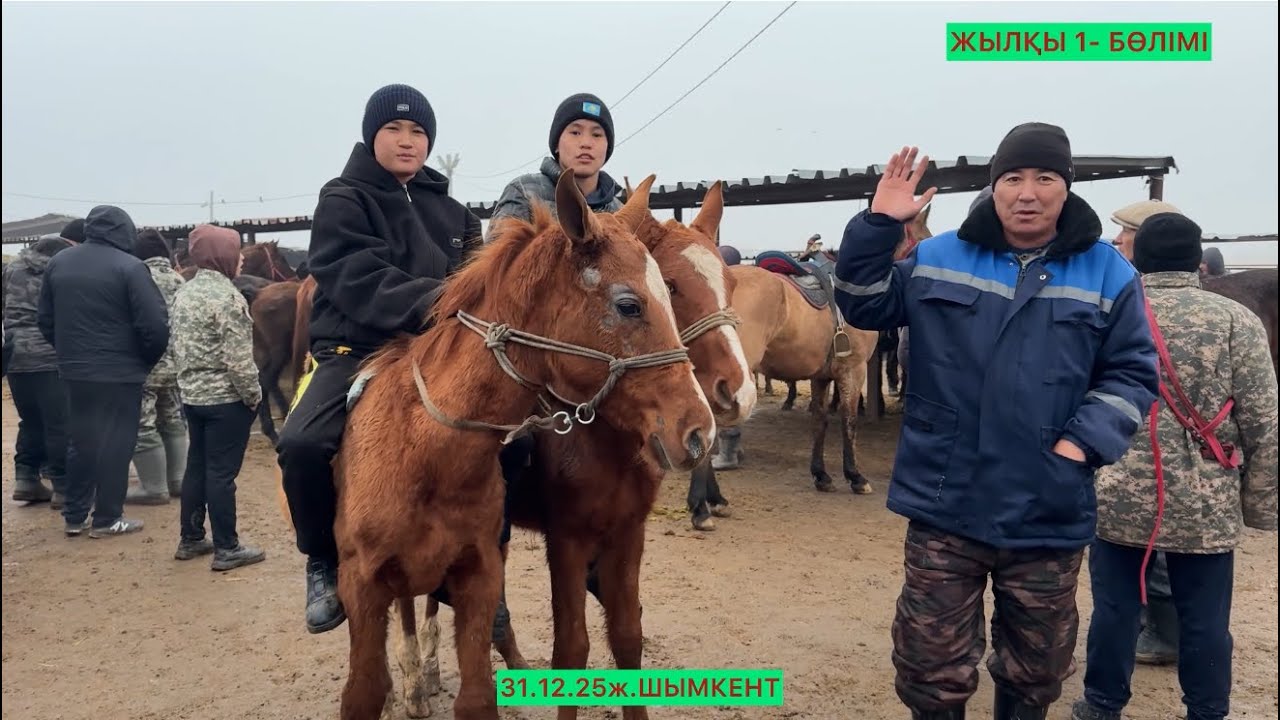 Жылқылар 1-Бөлімі