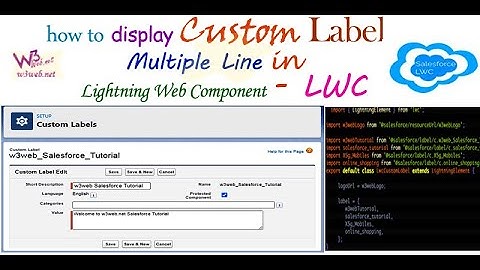 How to access multiple line custom label and static resource file property in Salesforce LWC
