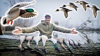 Très Belle Chasse au Canard dans les Marais Inondés ! [Chasser-Cuisiner-Manger]