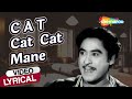 Miniature de la vidéo de la chanson Catcat Mane Billi