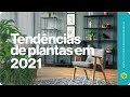 Tendências no cultivo de plantas em 2021