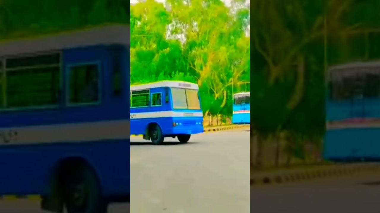 Beauty of Islamia University Bahawalpur 🌸