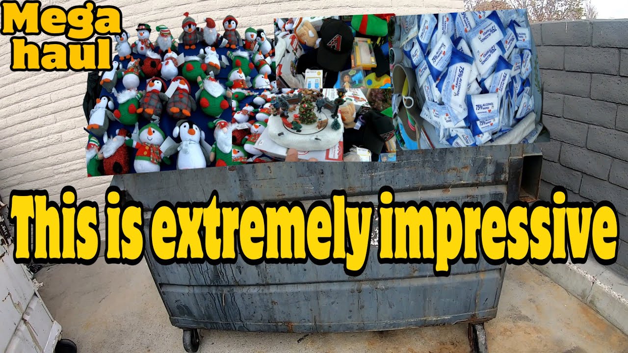 DUMPSTER DIVING - WHAT A GREAT SCORE!  I HIT IT BIG IN THE DUMPSTERS