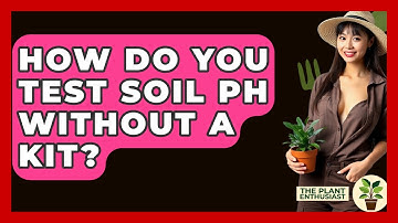 How Do You Test Soil PH Without A Kit? - The Plant Enthusiast