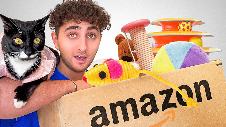 I Bought EVERY Cat Toy On Amazon...