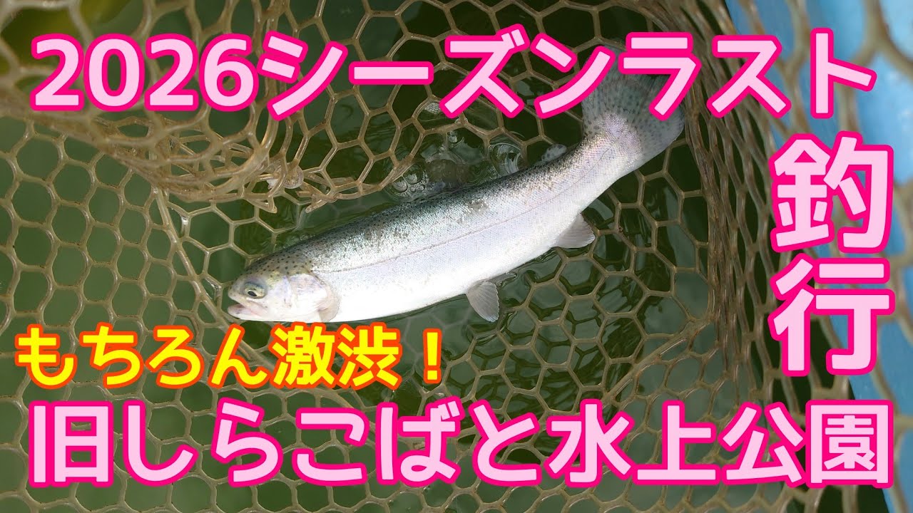 ラストしらこばと釣行　旧しらこばと水上公園　プールフィッシング