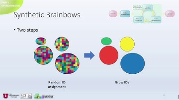 FluoRender Presentation Interactive and Visualization-Based Tracking