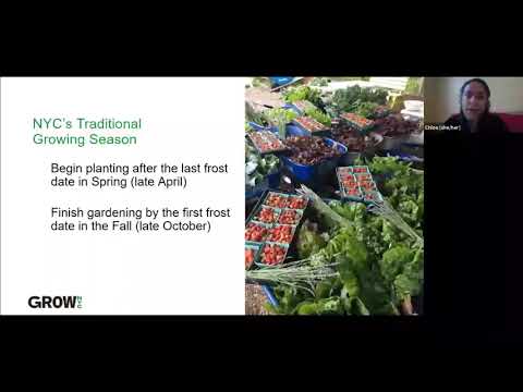 Video: Uso de marcos fríos en primavera: cómo endurecer las plántulas en un marco frío - Conocimientos de jardinería
