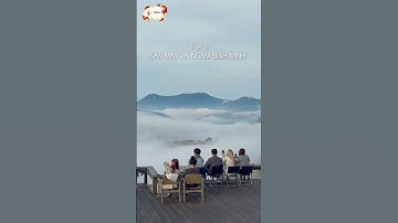 Ghé cafe này ở Đà Lạt để săn mây nha⛅️ #shorts