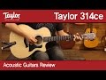 [버드뮤직] Taylor 314ce  테일러 어쿠스틱 기타 리뷰