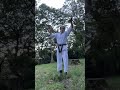 Tonfa Training | Ryukyu kobudo #kobudo #tonfa #トンファー #martialart #古武道 #shorts