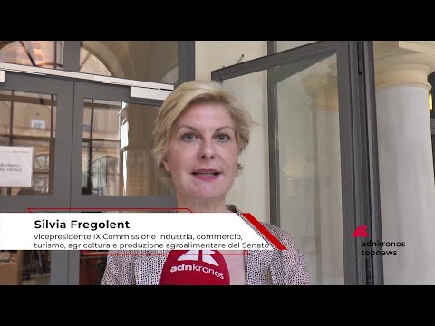 Video Economia: Fregolent (IV), migliorare burocrazia, energia, giustizia e trasporti per attrarre