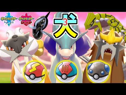 ソードシールド ライコウの種族値 わざ 特性など能力と入手方法 ポケモン剣盾 攻略大百科