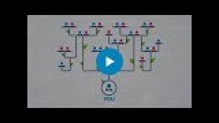 Family Relationships Explained: What Is First, Second, & Once Removed?