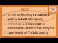 Immunodeficiency: DiGeorge Syndrome SCID IgA Deficiency Nitroblue Tetrazolium MPO