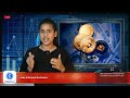 Bitcoin Rebounds, XRP Surges &amp; ₹44 Lakh Crypto Scam in Surat | CoinDesi Live
