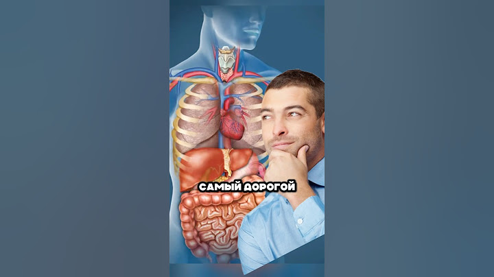 Самый дорогой орган