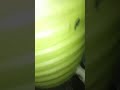 Water Tank Cleaning & Clinic | Overhead & Underground Tank Maintenance(Alternate)Water Tank Clining