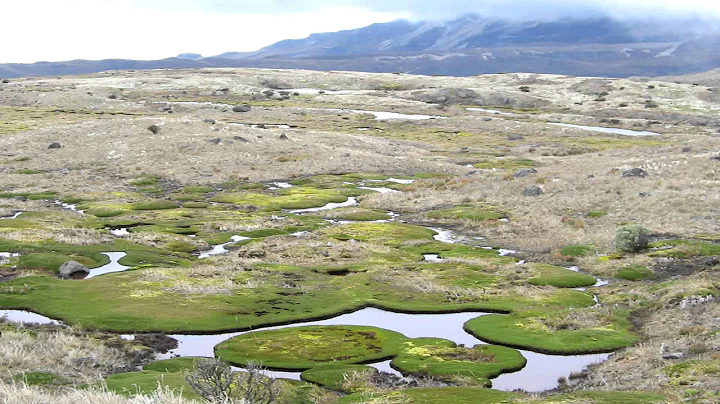 The Páramos  Climate change threatens a fragile ecosystem in the Andes
