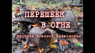 Погибшие бойцы в дороге коттеджного поселка/Раскопки Второй мировой войны