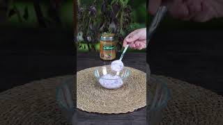 Meyveli Ara Öğün Kasesi