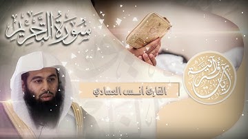 سورة التحريم :: تلاوة خاشعة للقارئ I أنــس العمـــادي I جـزء قد سمع