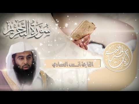 سورة التحريم تلاوة خاشعة للقارئ I أنــس العمـــادي I جـزء قد سمع
