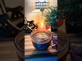 Best hot chocolate recipe☕️ #viralvideo #youtubeshorts #shorts #easyrecipe #winterspecial #recipe