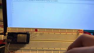INFO4320/5321 MorseCode project