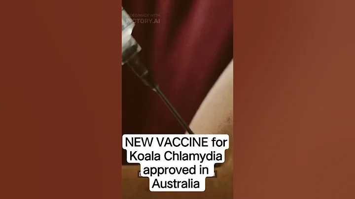 World’s First Koala Chlamydia Vaccine Approved | Save Koalas 2025