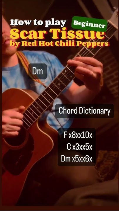 How To Play Scar Tissue On Guitar Learn how to play “Scar Tissue” by Red Hot Chili Peppers on Guitar