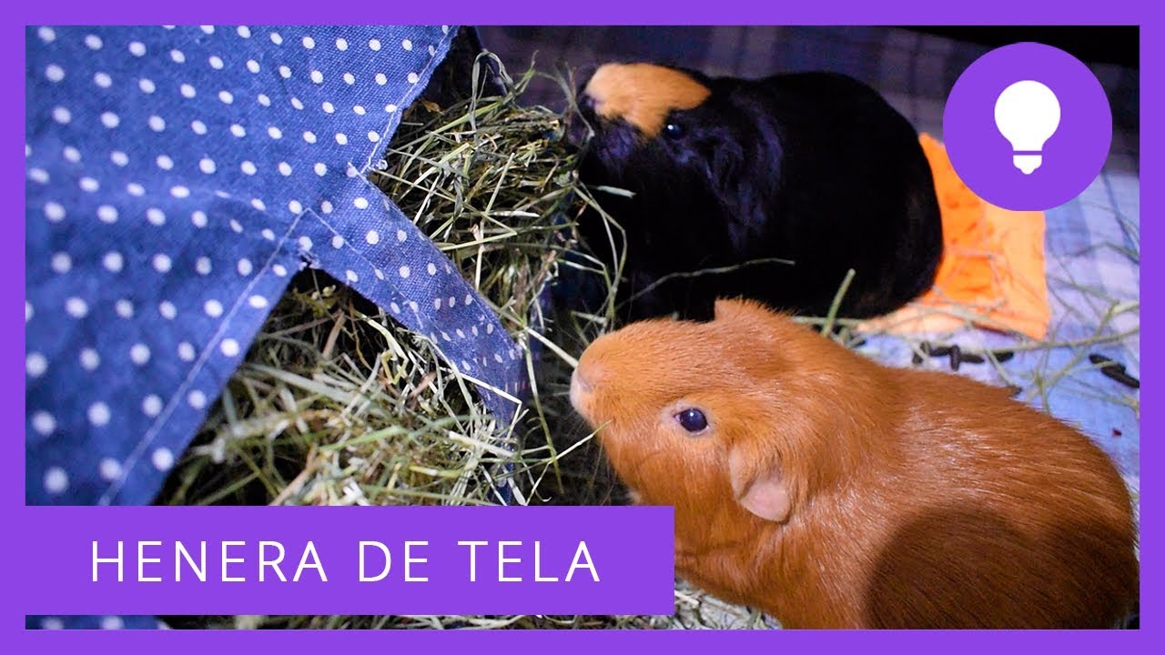 👜 HENERA DE TELA PARA COBAYAS (Tutorial DIY) 🌿🐹