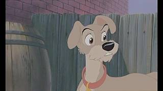 Lady And The Tramp II: Scamp’s Adventure: Tramp (2001) (29)