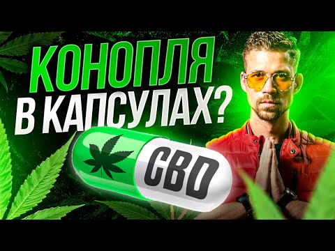 Для чего нужен CBD (каннабидиол).  Добавка из конопли для улучшения психо-эмоционального состояния.