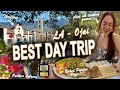 рџ ЌDay Trip To Ojai California рџЊґTasting Thrifting Outdoor Bookstore рџ ЌDay Trip To Ojai California рџЊґTasting Thrifting Outdoor Bookstore