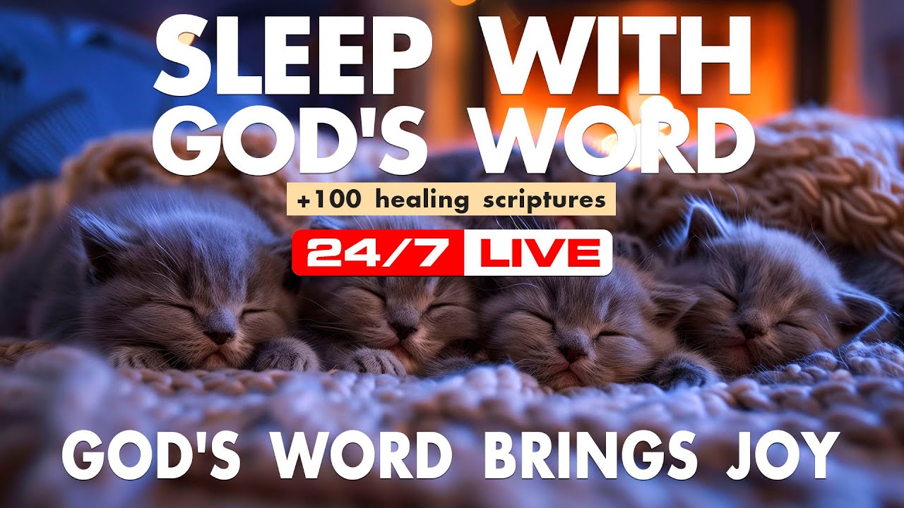 Peaceful Scripture Ambience — Sleeping Gray Kittens, Cozy Fireplace, Bible Reading