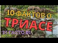 [DI FACTO]#1  10 ФАКТОВ О ТРИАСОВОМ ПЕРИОДЕ И ОБИТАВШИХ В НЁМ ДИНОЗАВРАХ (и не только динозаврах)