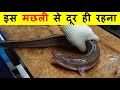 ये मछ्ली छूते ही काटने को दौड़ती है ? Dangerous Hunting Skills of Morey EEL.