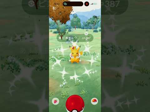【ポケモンGO】色違いPWCSピカチュウ、ゲットだぜ！＃ピカチュウ #shinypokemon