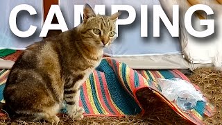 CAMPING - PAROLE DE CHAT